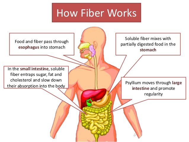 How Does Soluble Fiber Work in Your Body?