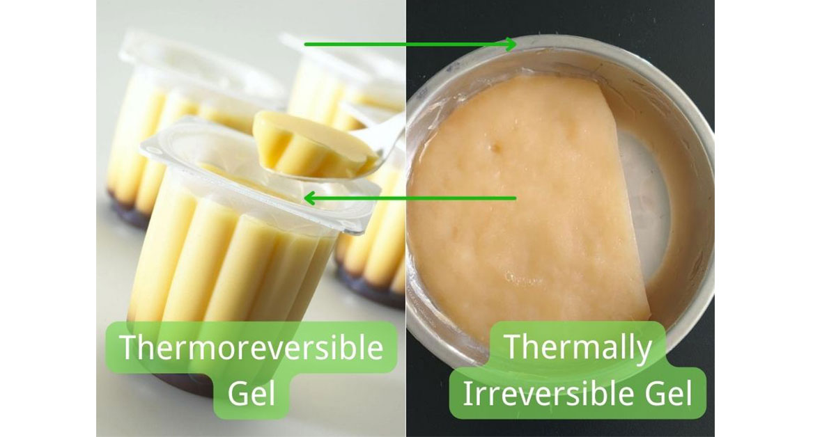 Thermally irreversible and Thermoreversible gel foods