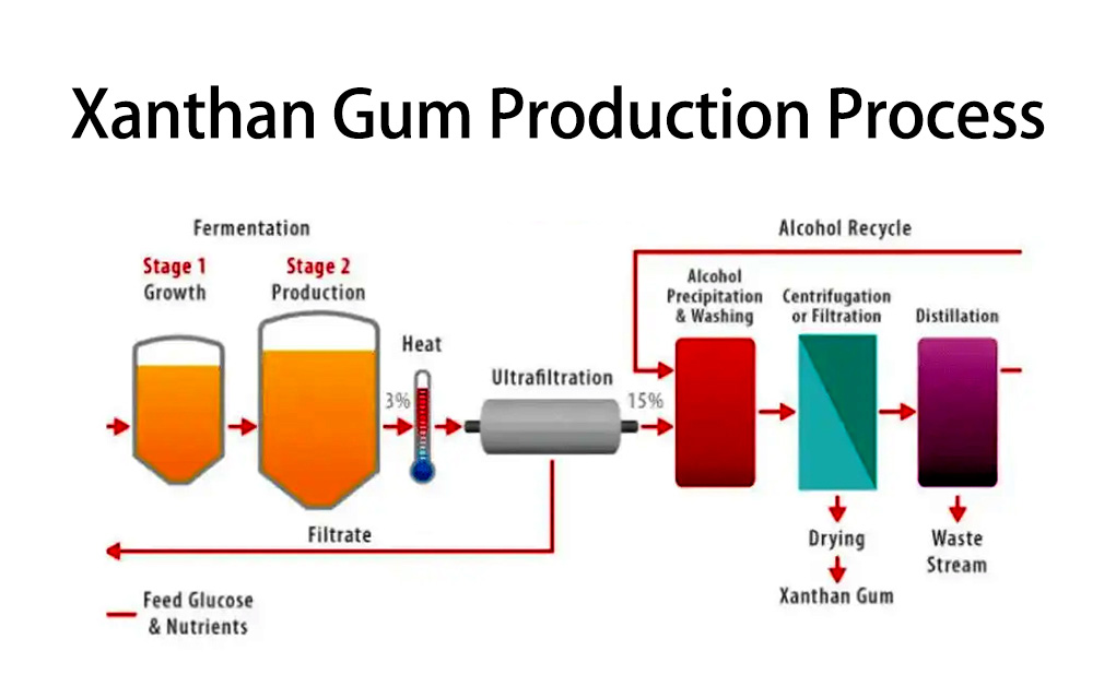 Xanthan gum production process