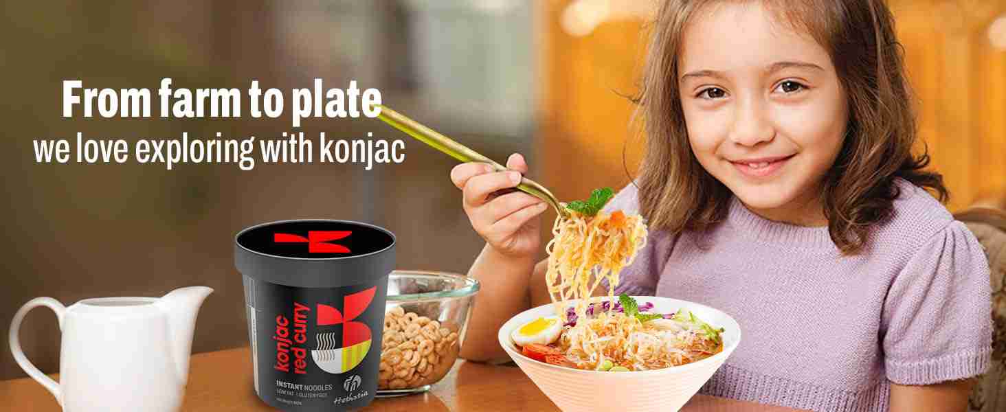 Hethstia Konjac Noodle Red Curry