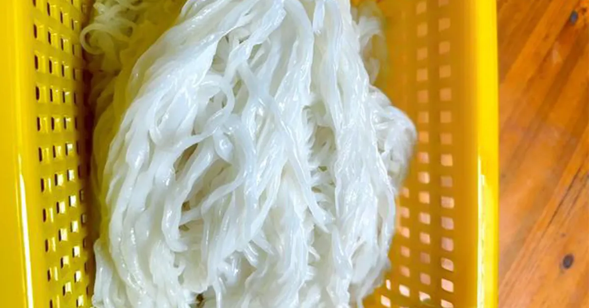 Different types of rice noodles
