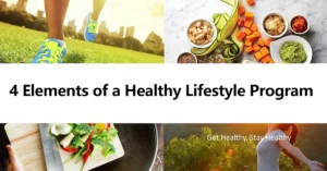 4 Elements of a Healthy Lifestyle Program