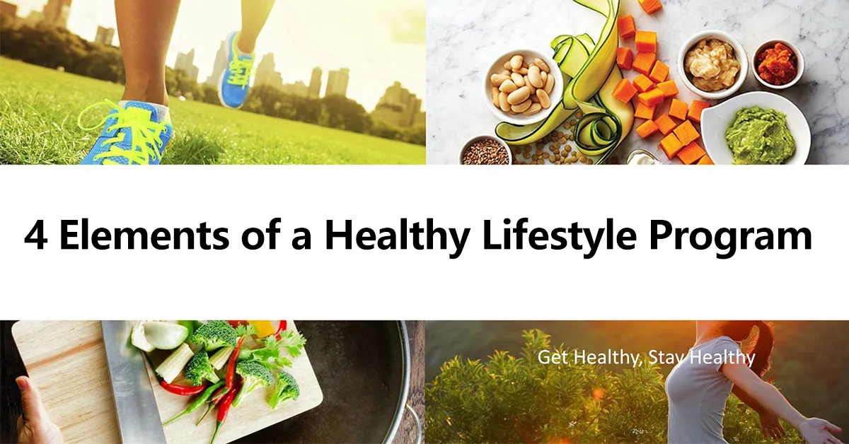 4 Elements of a Healthy Lifestyle Program