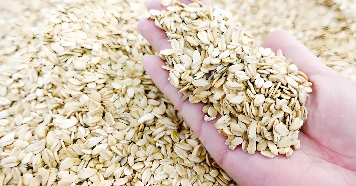 9 foods that lower cholesterol - Whole grains