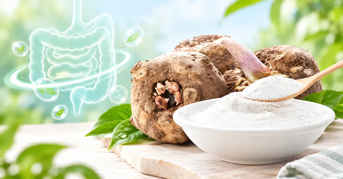 Konjac and Colon Health: The Science-Backed Digestive Reset